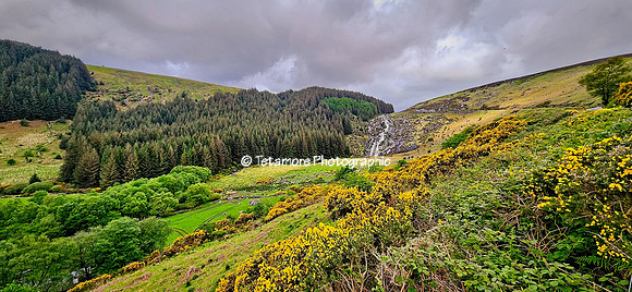 Wicklow Mountains National Park Glenmacnass Waterfall