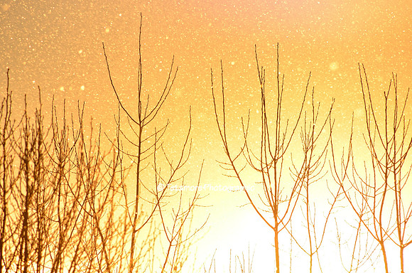 Winter Sunset with Flurries