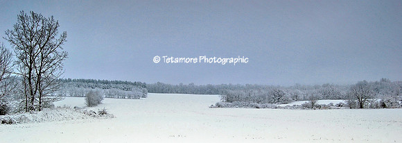 Blue Sky Panorama