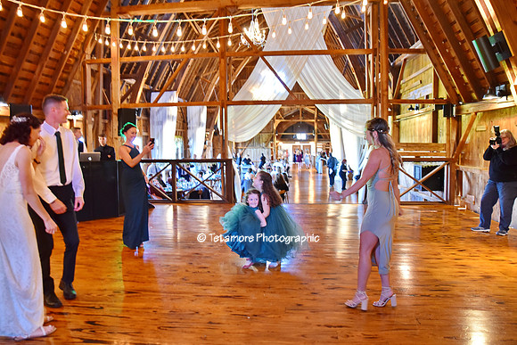 Danielle and Chad Wedding 310