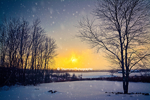 Sun and Snow