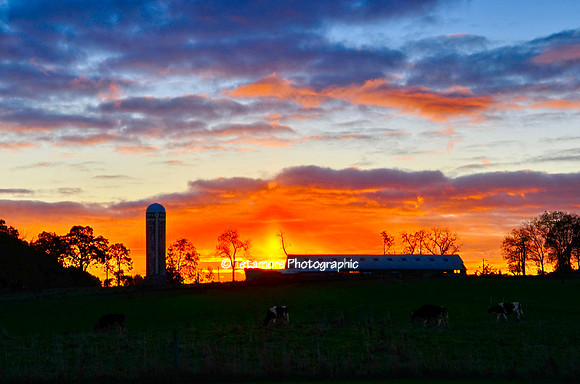 Blazing Sunrise
