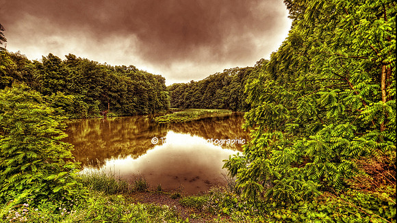 Conesus Creek at Littleville Rd.