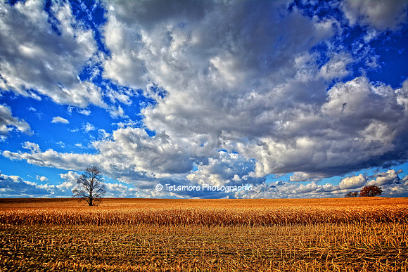 Big Sky