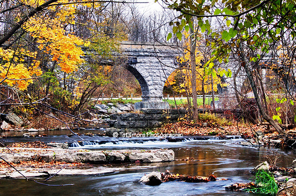 Five Arch Fall