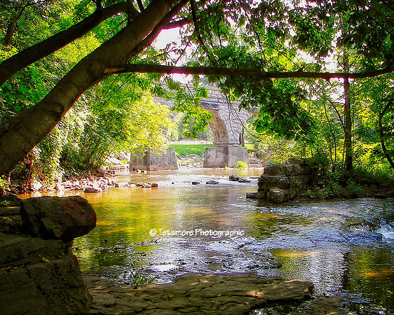 Five Arch Summer 2