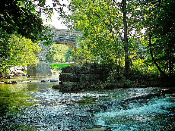 Five Arch Summer