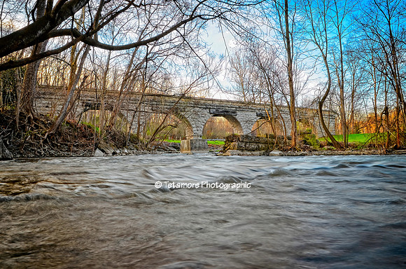 Five Arch Spring 1