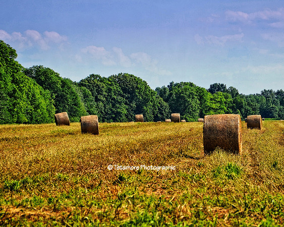 Rollin' The Hay
