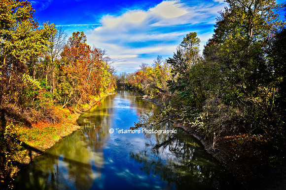 Genesee River Fall