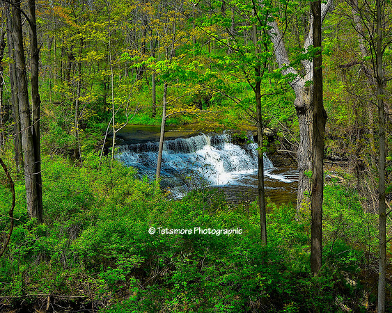 Twin Falls