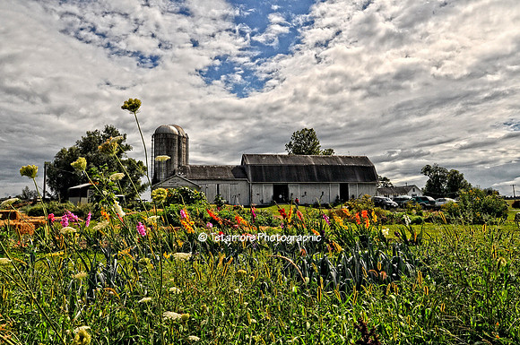 The Barn at Kindred Ground - 24x36