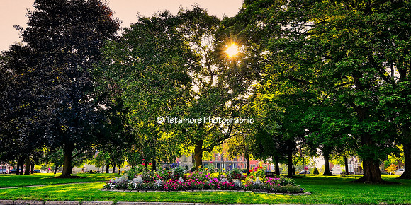 Avon Park Sunset