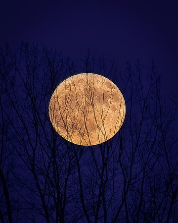 Snow Moon 2026 a