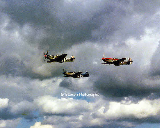 Three Mustangs