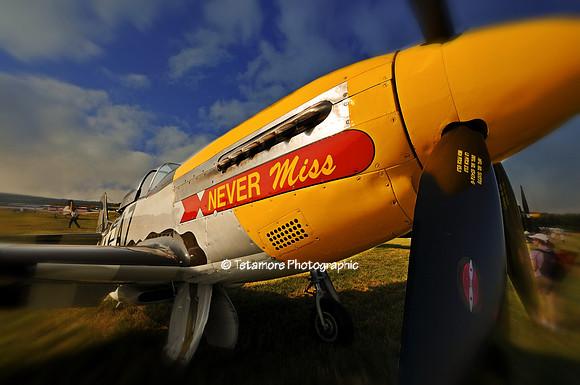 Never Miss