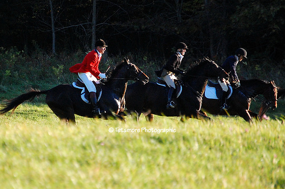 Three Horseman