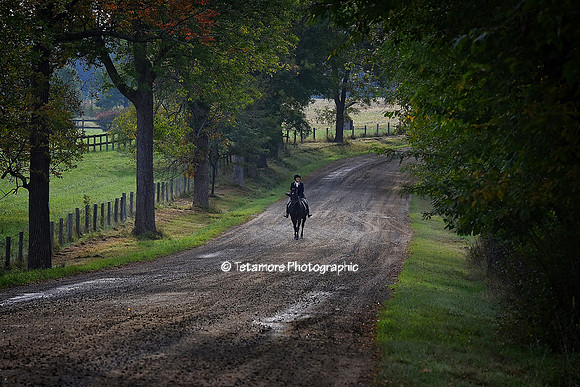 Morning Ride