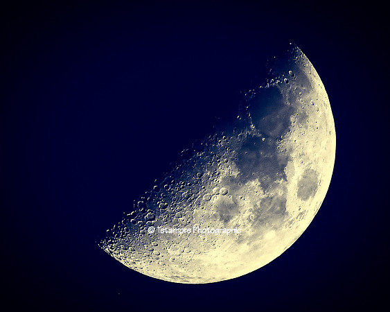 Blue Sky Moon