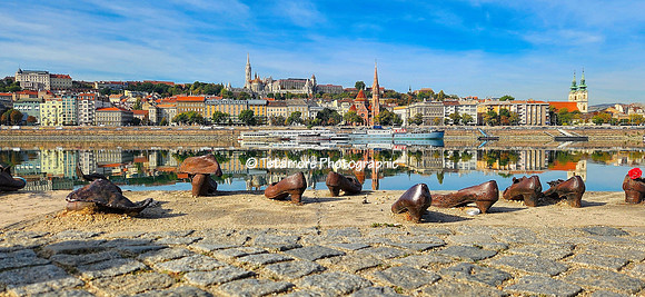 Viking Grand Vacation 264 1