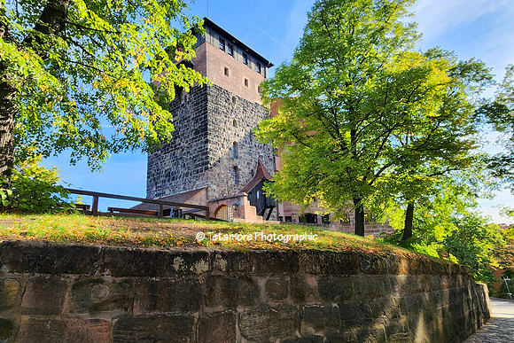 Viking Grand Vacation 117