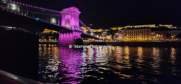 Viking Grand Vacation 254