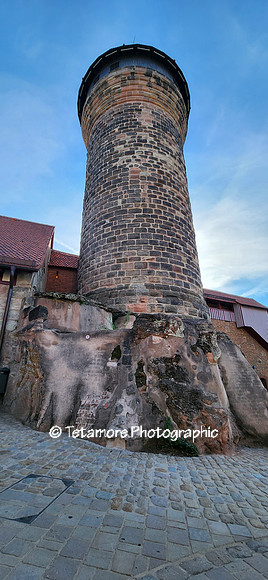 Viking Grand Vacation 113