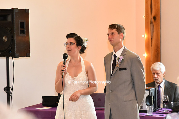 Erica and Mikhail Wedding 356