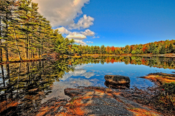 Acadia Beaver Pond