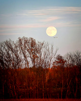 Hunters Moon 2026