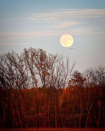 Hunters Moon 2026