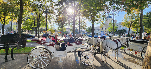 Viking Grand Vacation 186