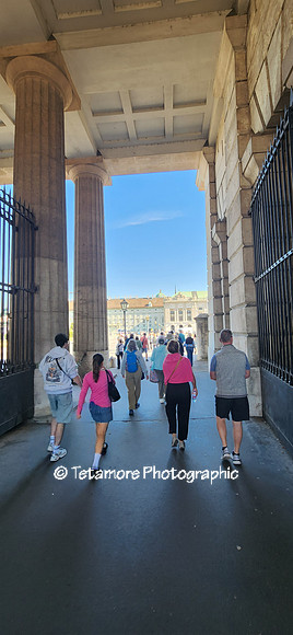 Viking Grand Vacation 163