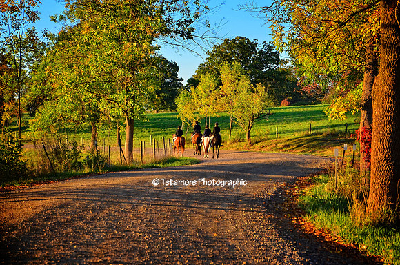 Hunt Country 2016_06