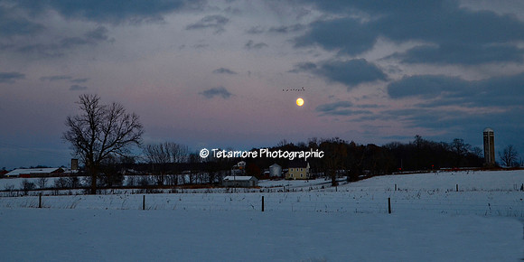 Thanksgiving Full Moon Panorama