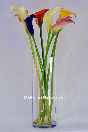 Flowers in Vase