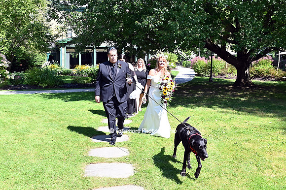 Jennifer and Greg Wedding 340