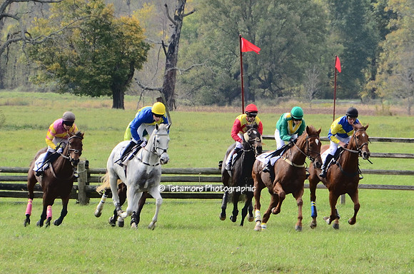 GVH Races 2017_LCT021