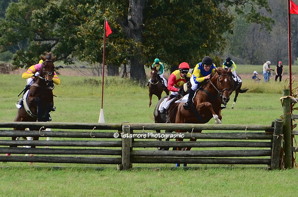 GVH Races 2017_LCT023
