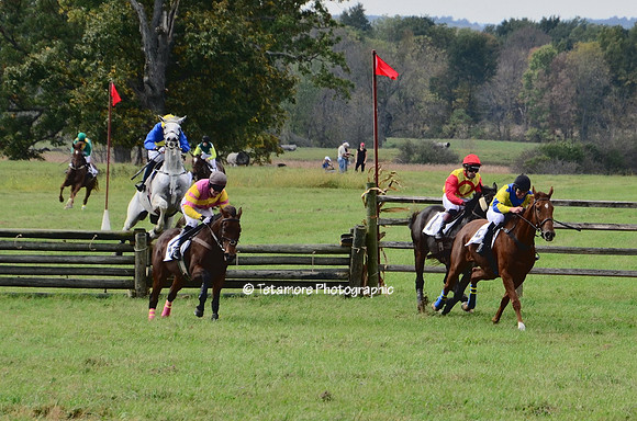 GVH Races 2017_LCT024