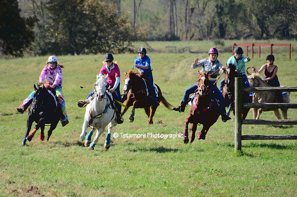 Hunt Races Stock Horse Sprint 2017_03