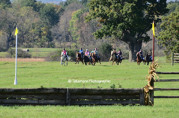 Hunt Races Stock Horse Sprint 2017_01