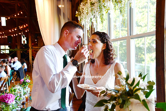 Danielle and Chad Wedding 294