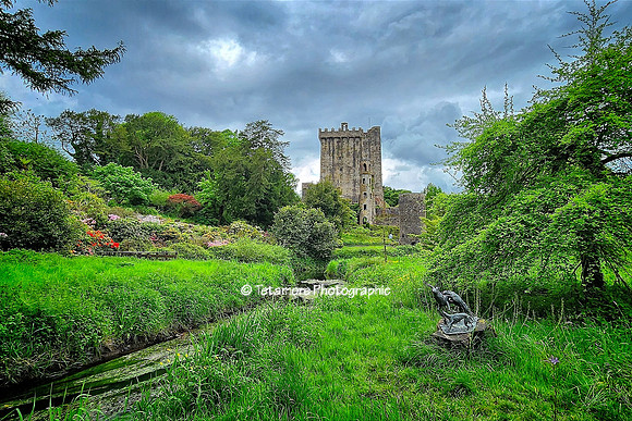 Blarney Castle 02