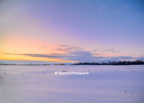 Crisp Winter Morning