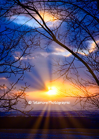 February Sunset