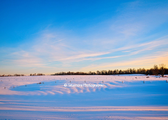 Fields Adrift