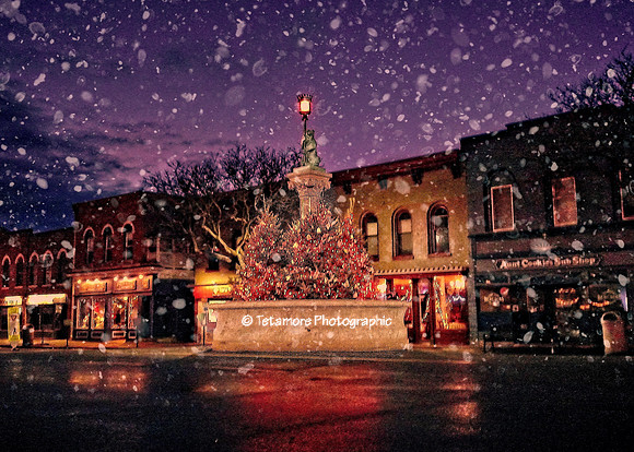 Geneseo Not A Creature Was Stirring copy copy