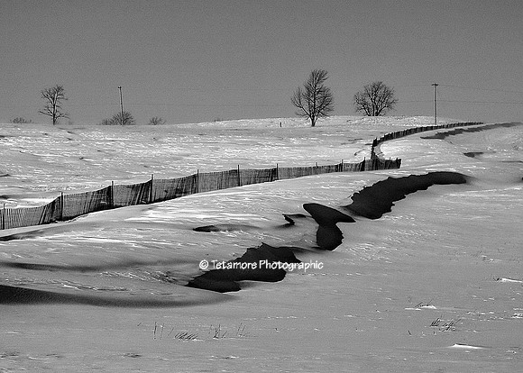 Snowfence B&W