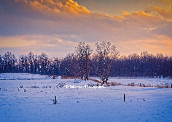 Pastoral Sunset
